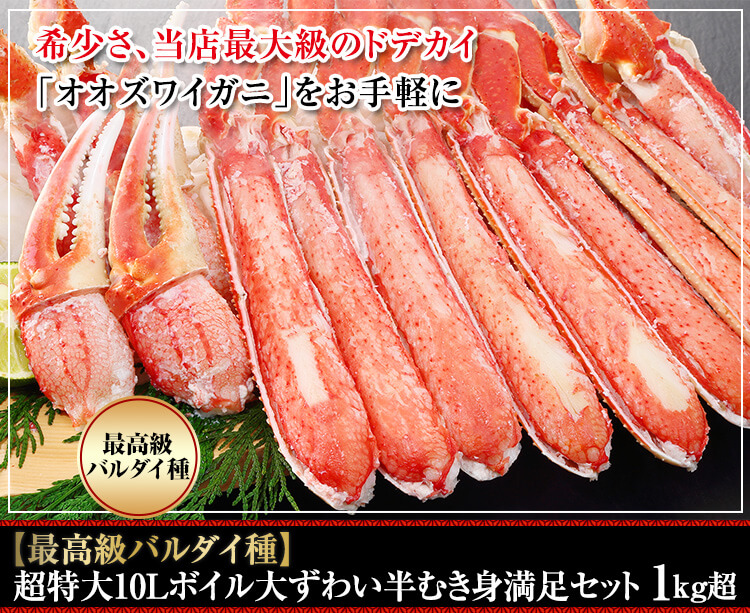 【最高級バルダイ種】超特大10Lボイル大ずわい半むき身満足セット